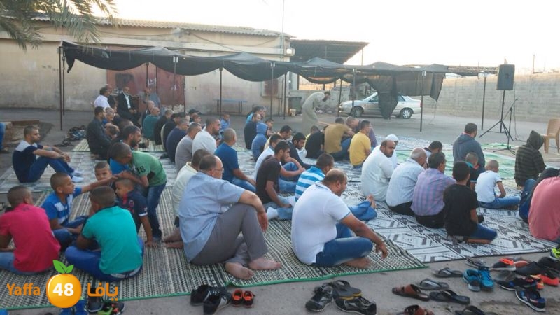 dahmash e33ed (8).JPG